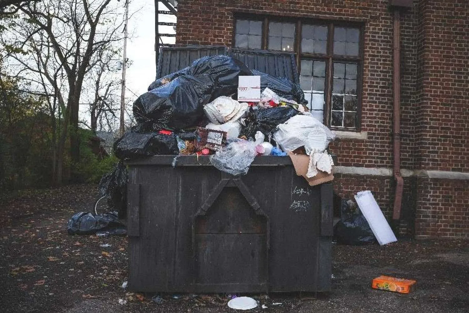 Liquid or solid waste