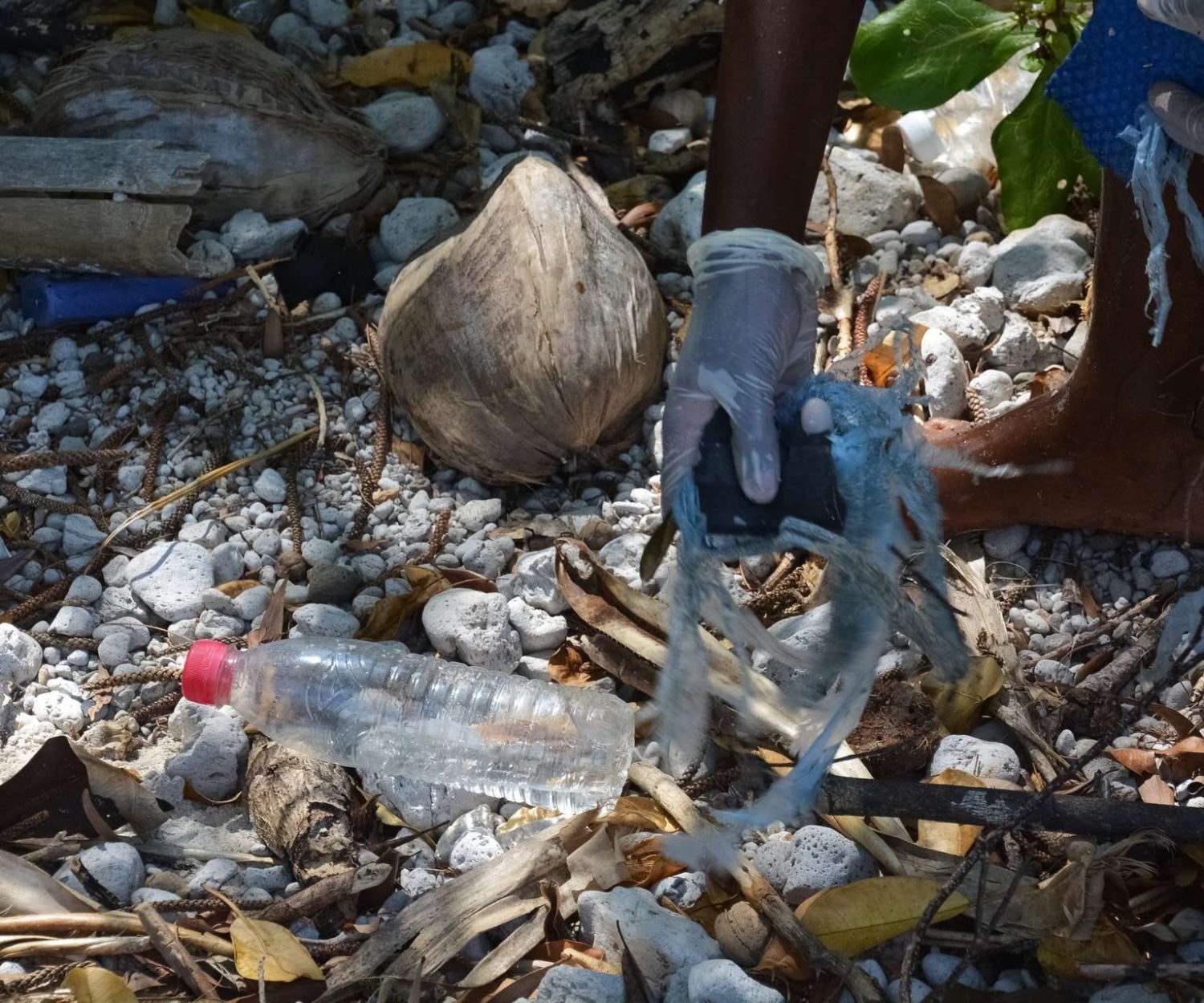 plastic waste management