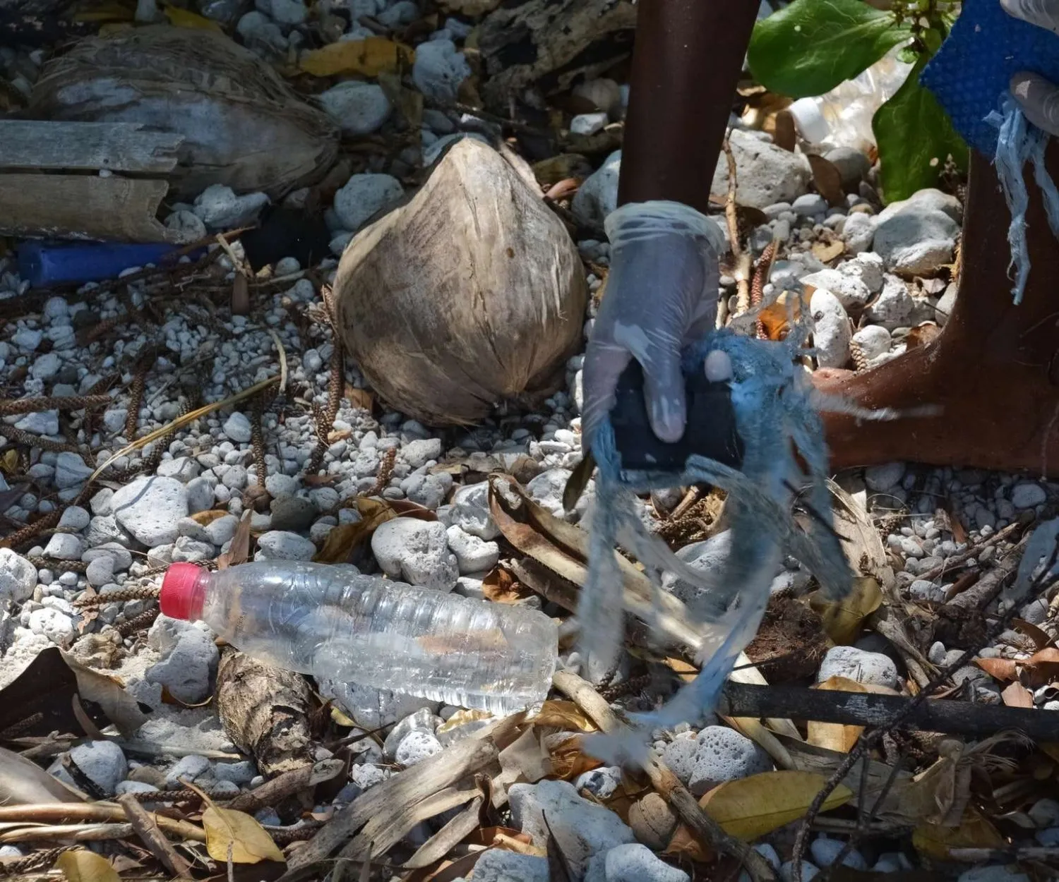 plastic waste management