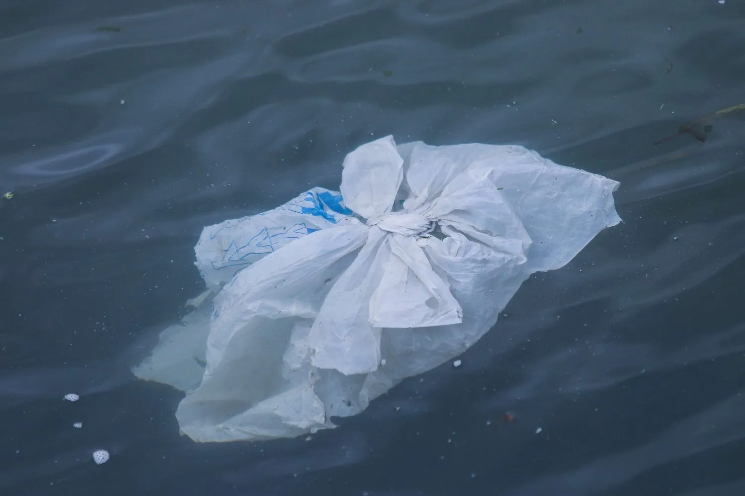 plastic waste in the ocean