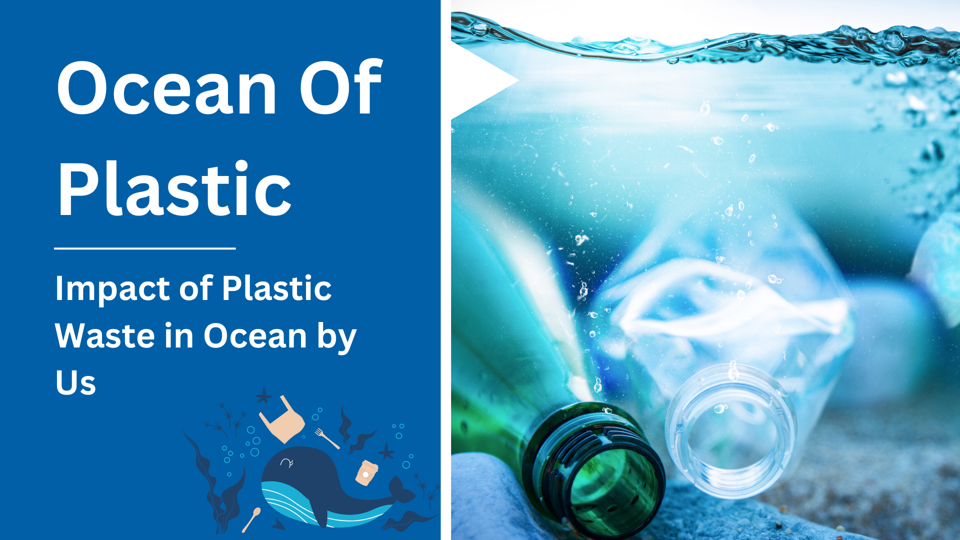 The Ocean of Plastic A Speculative Look At The Impact By Us