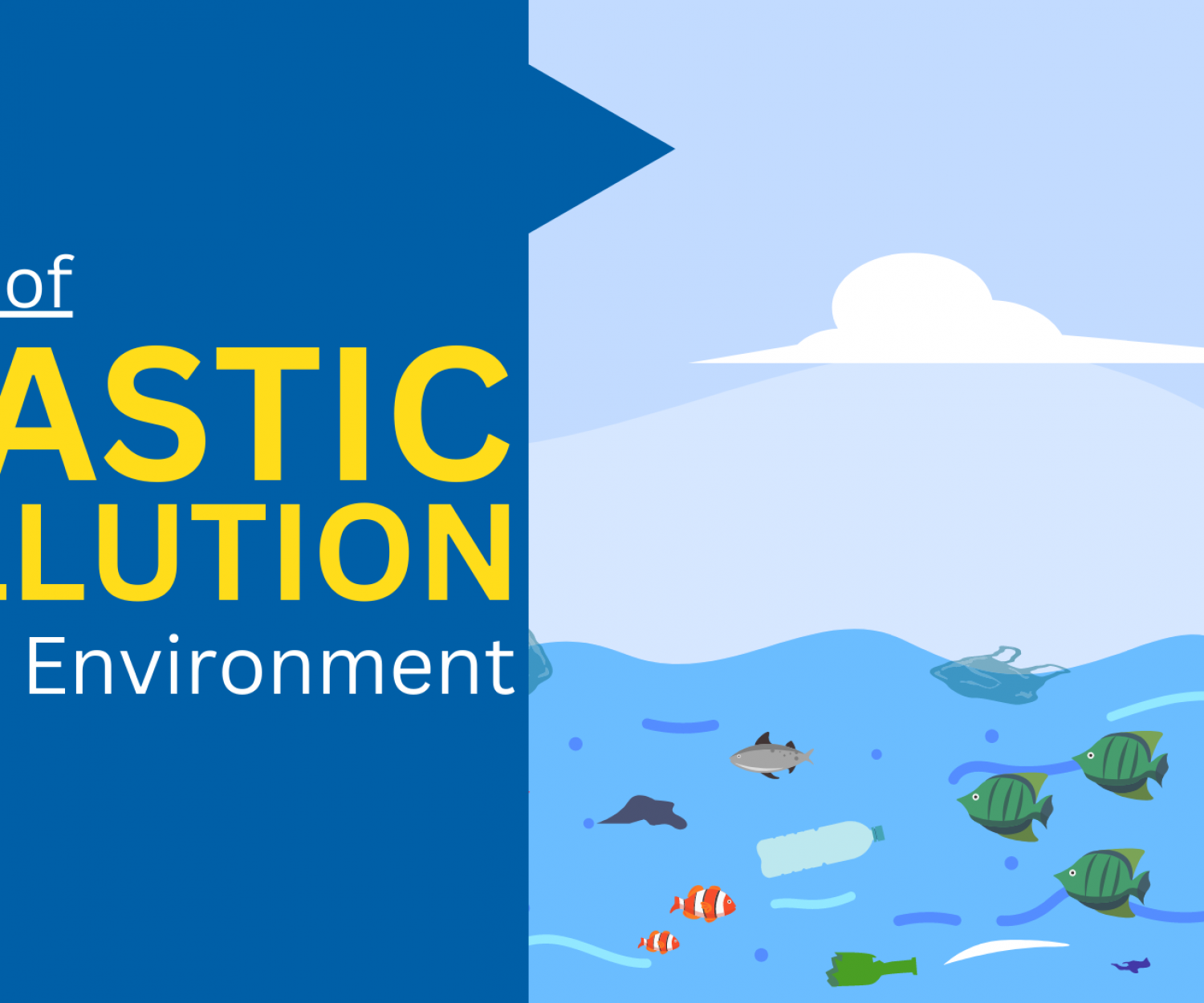 Effects of Plastic Pollution on the Environment