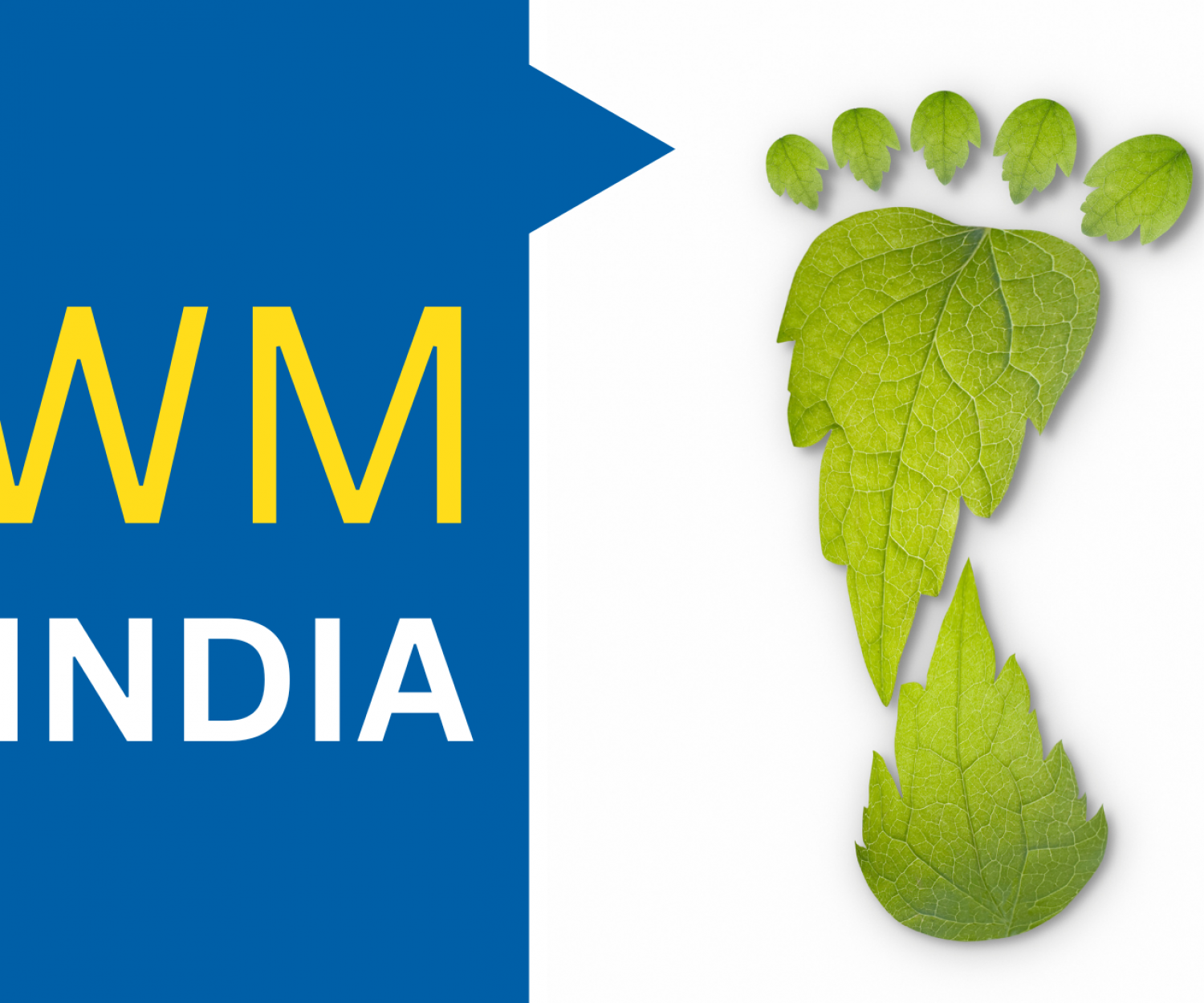 Simple Ways To Reduce Your Carbon Footprint