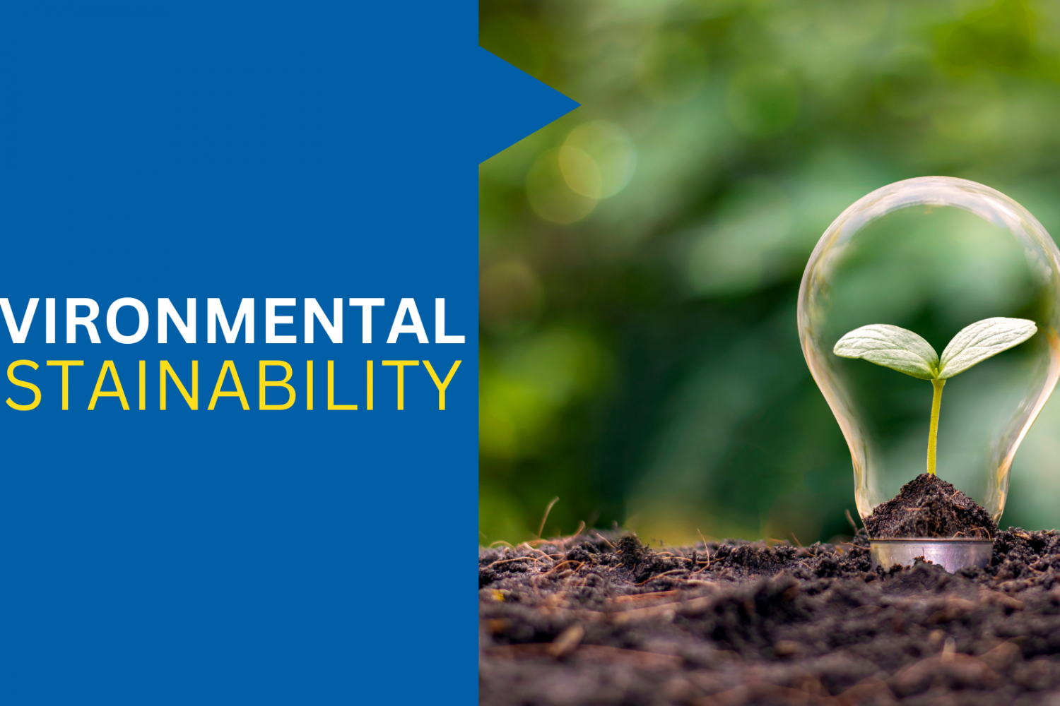 environmental sustainability