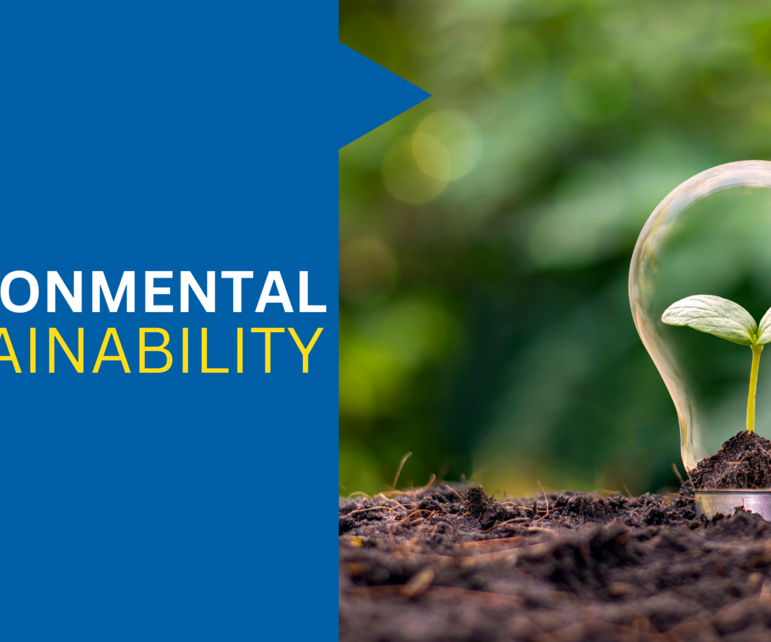 environmental sustainability