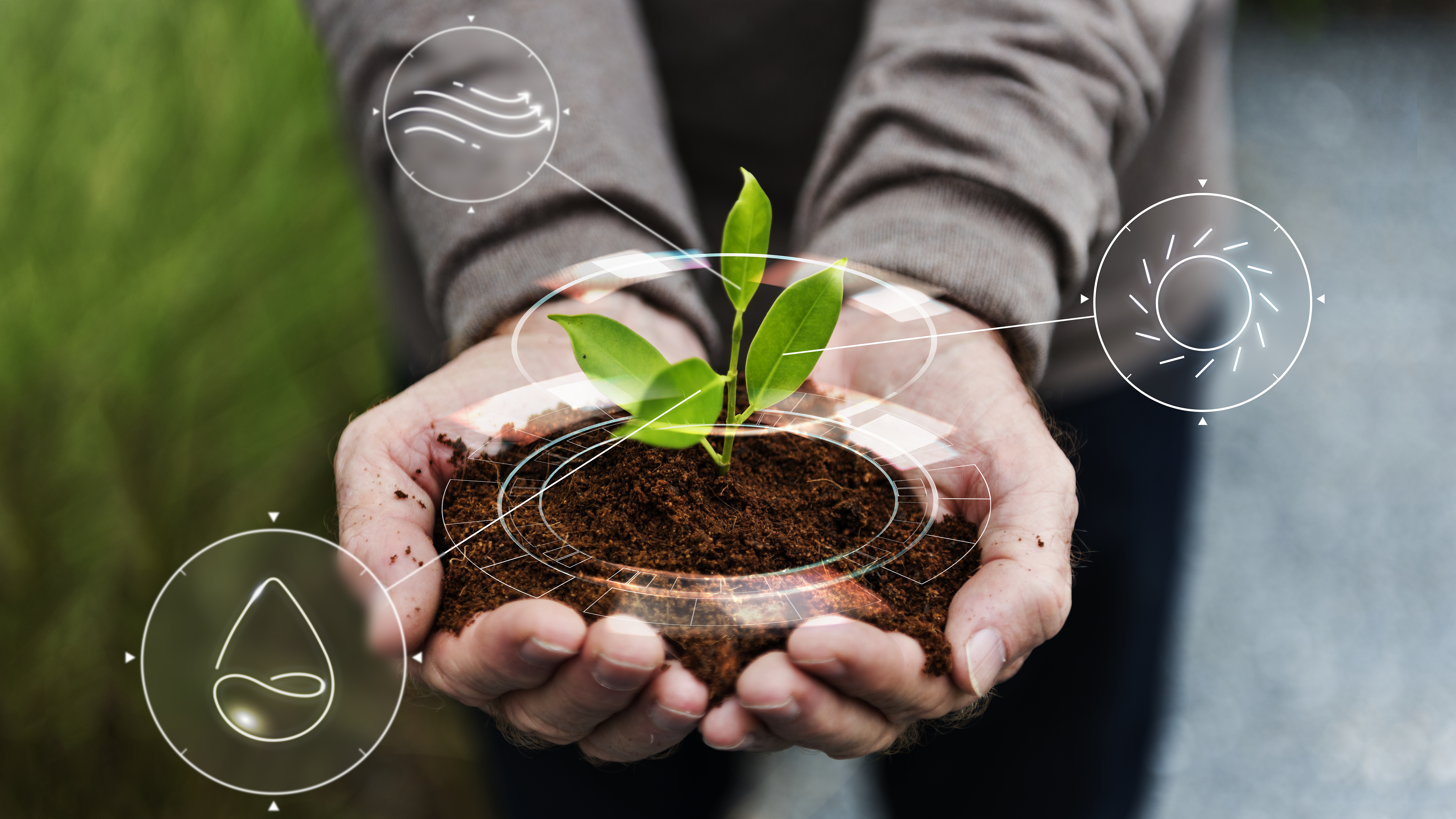 sustainable environment