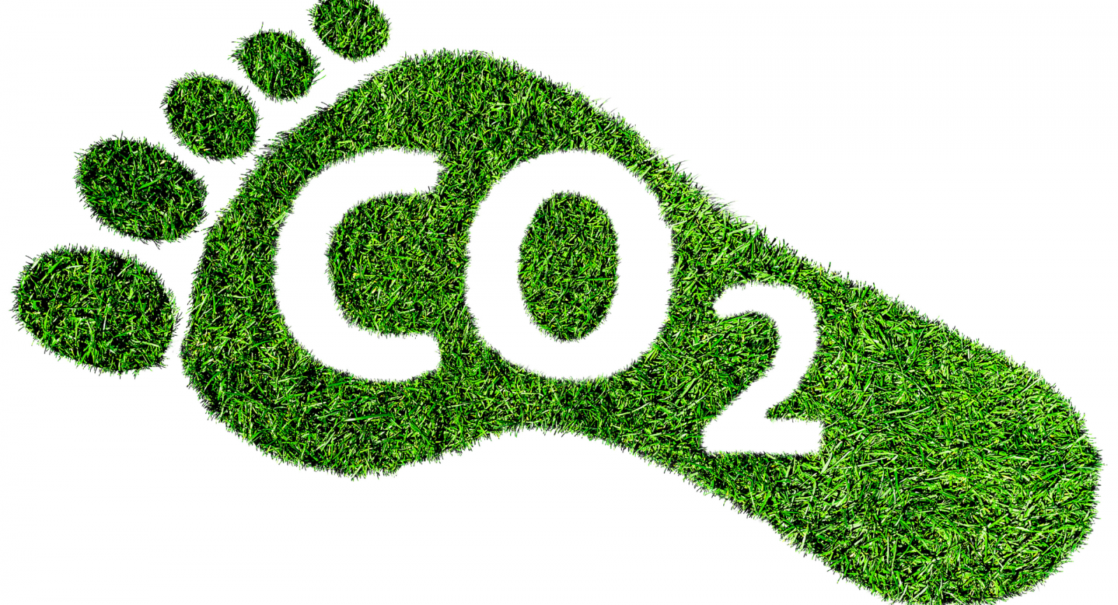 reduce carbon footprint