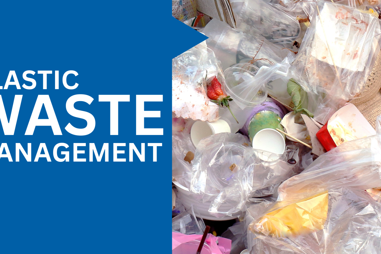 plastic waste management in India