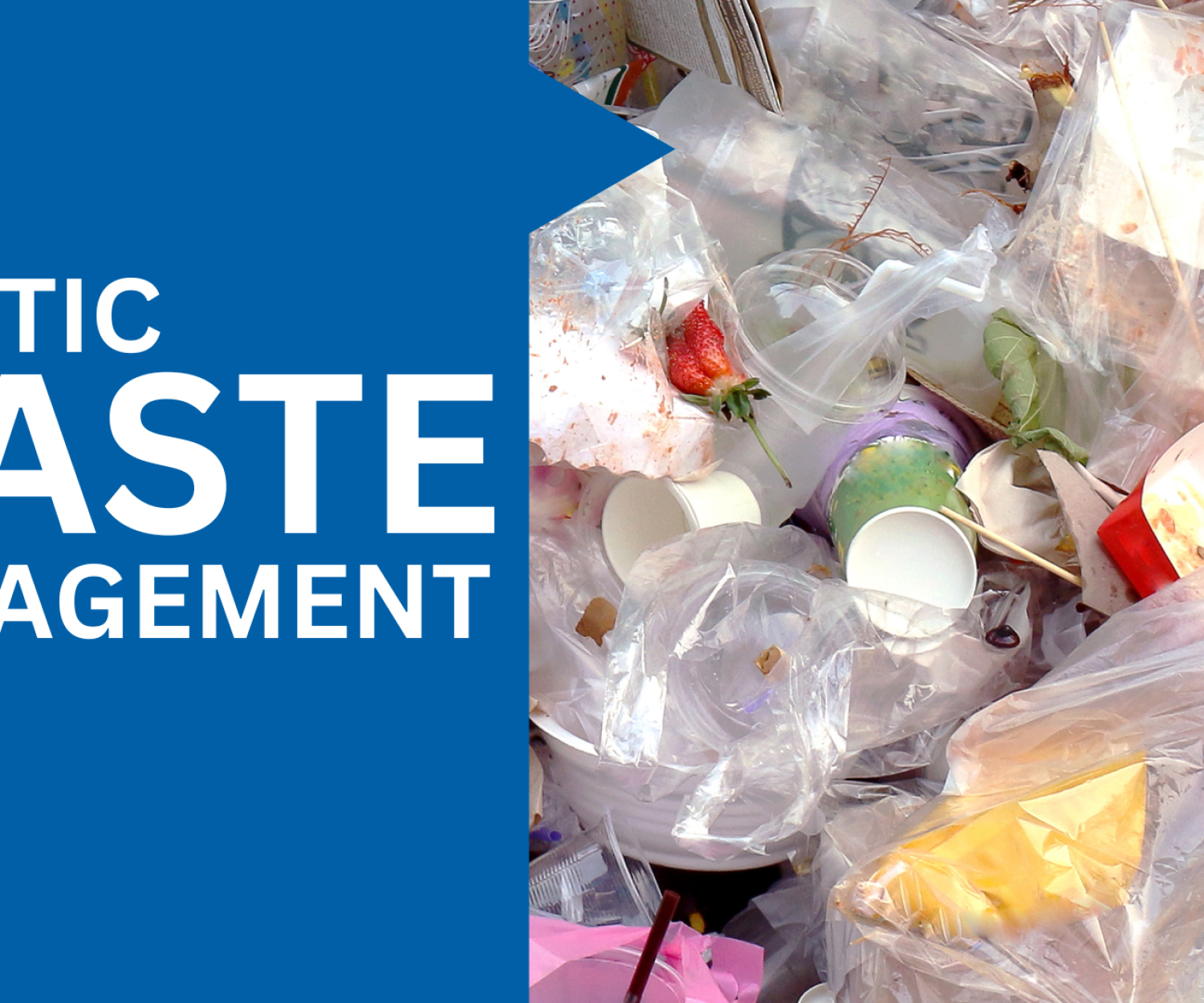 plastic waste management in India
