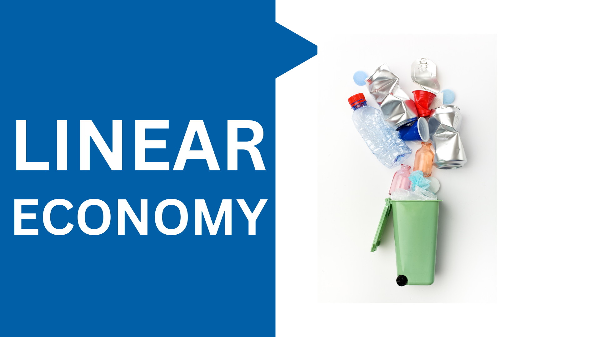 The Linear Economy: A Thing of the Past or a Necessity for the Future?