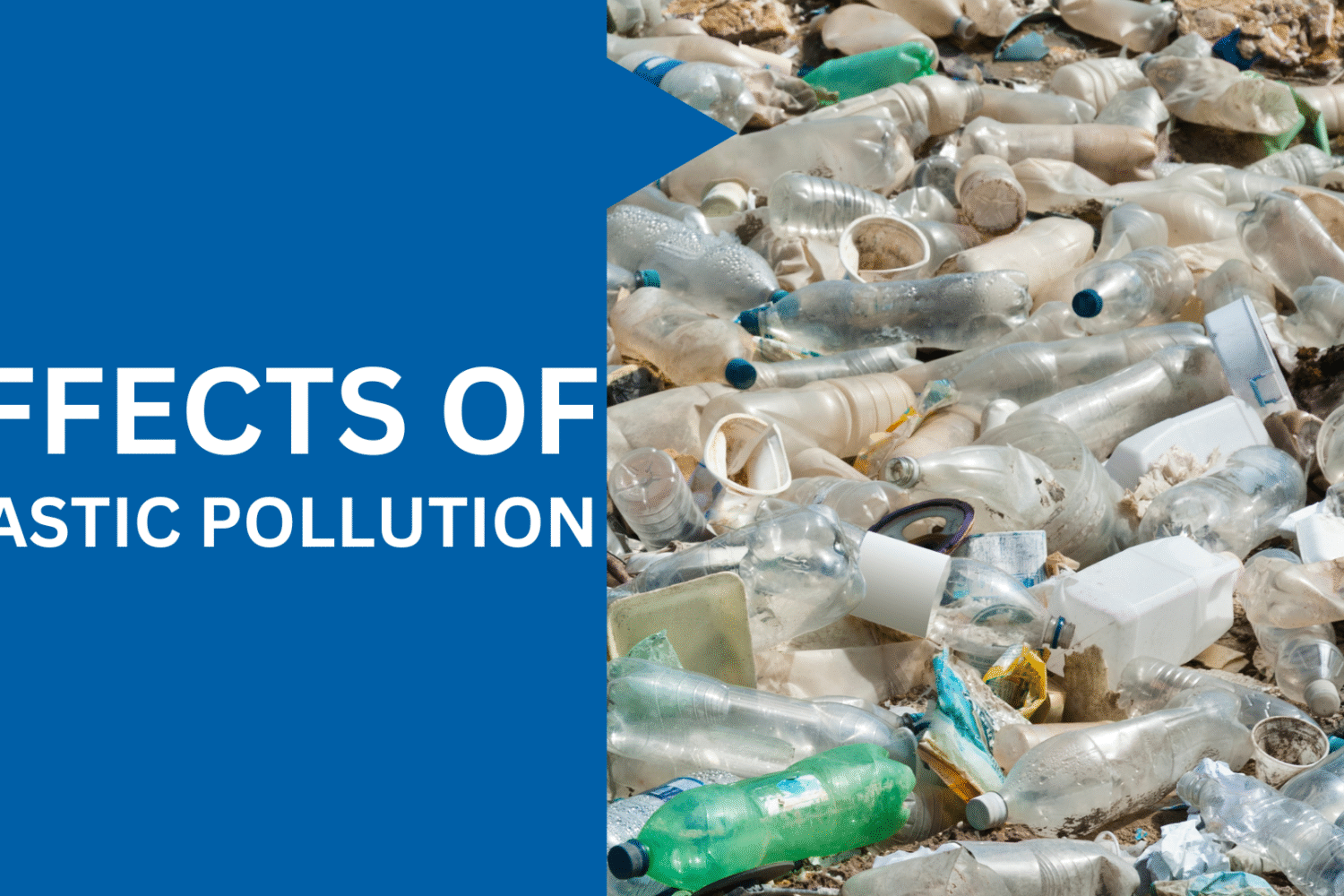 Plastic Pollution