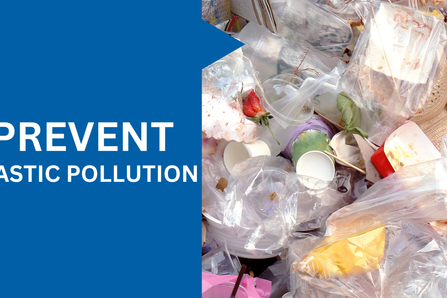 How To Prevent Plastic Pollution For A Greener Future