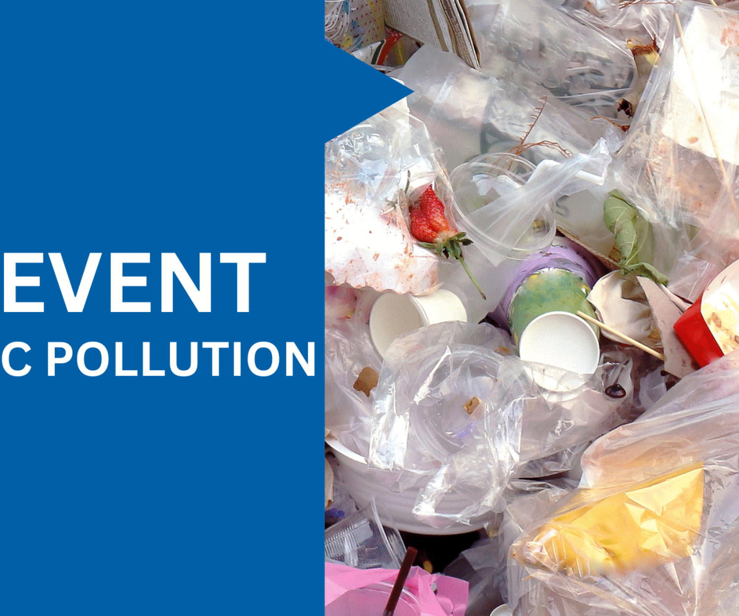 How To Prevent Plastic Pollution For A Greener Future