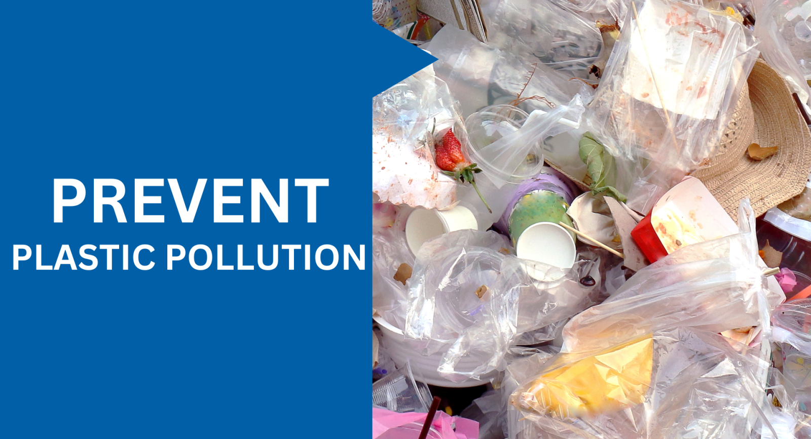 How To Prevent Plastic Pollution For A Greener Future