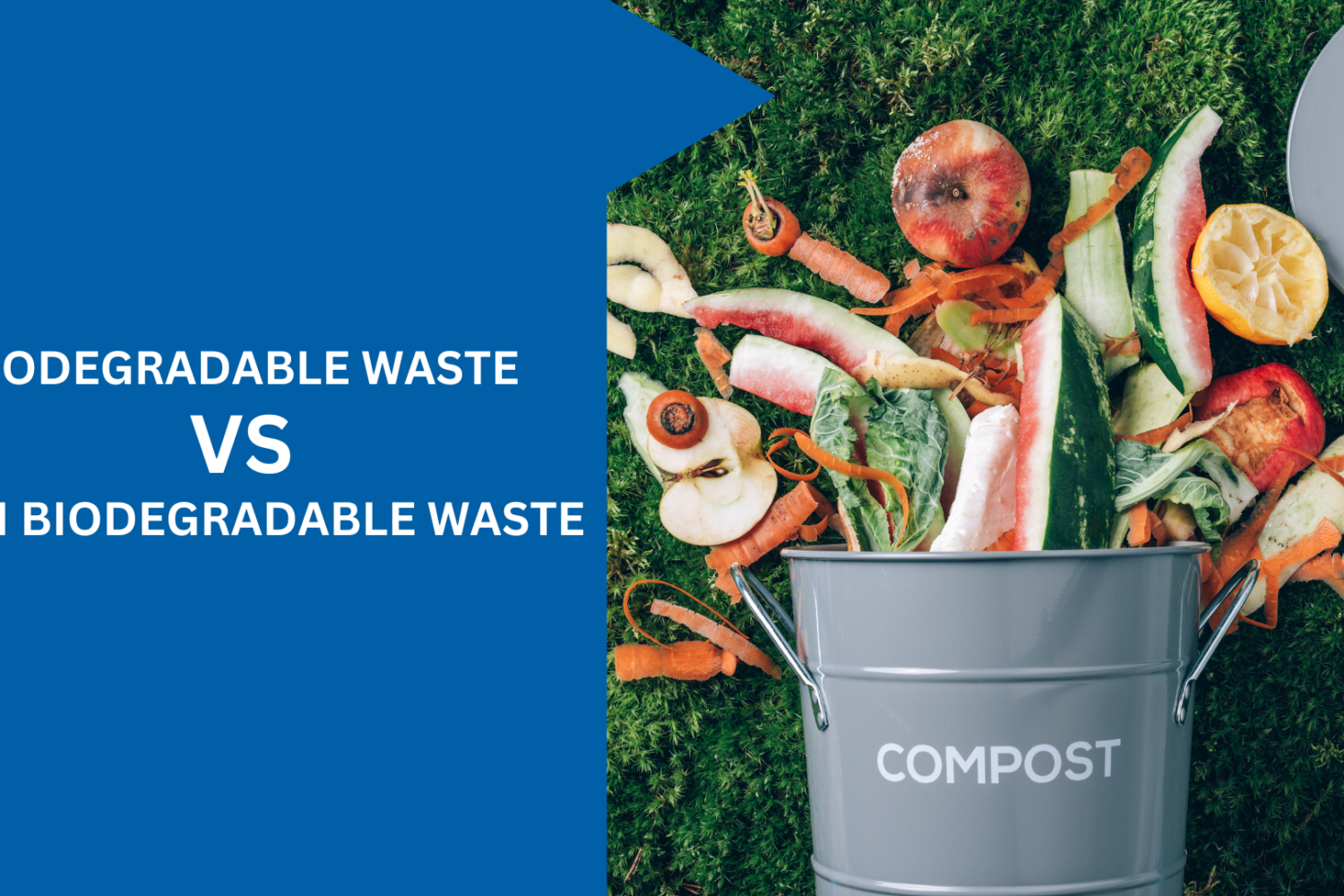 difference between biodegradable waste and non biodegradable waste
