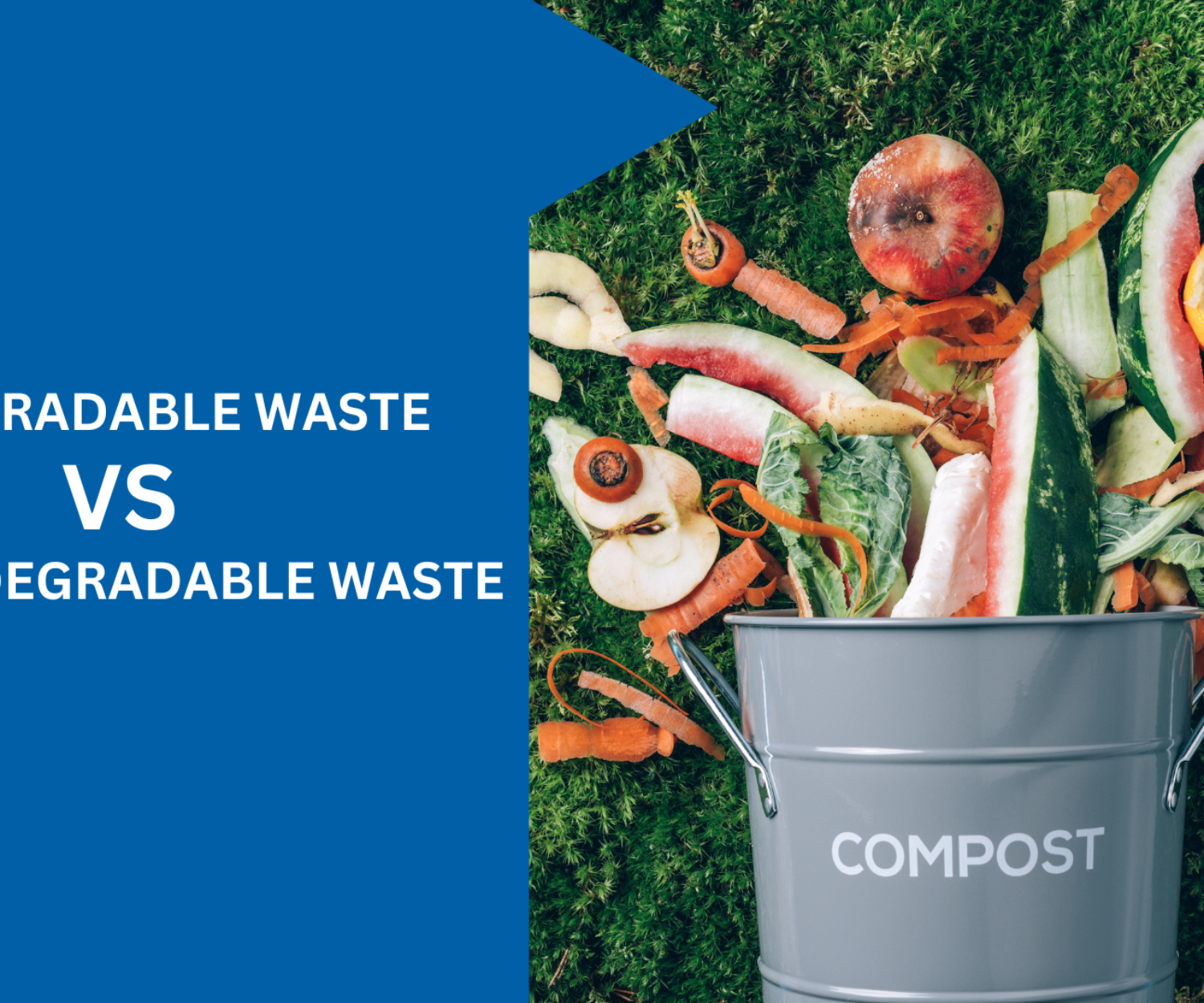 difference between biodegradable waste and non biodegradable waste