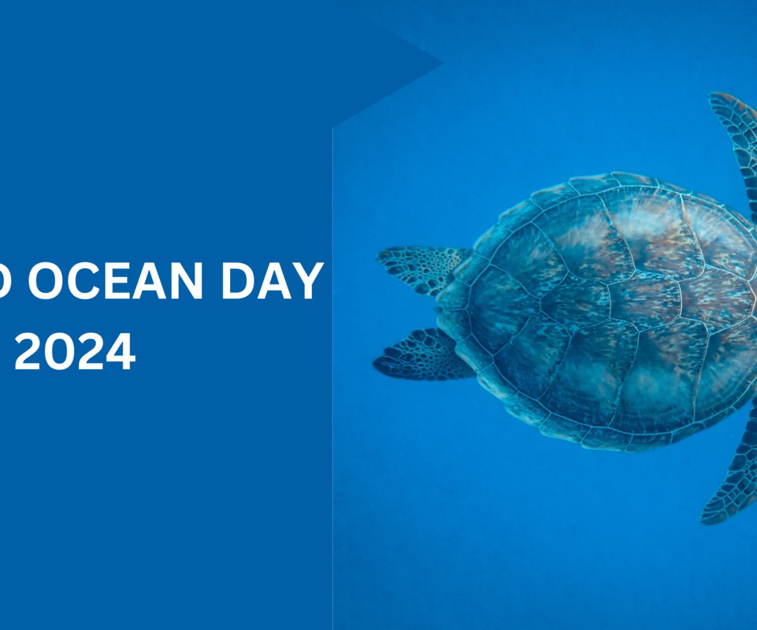 World Ocean Day 2024