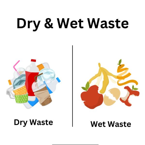 Dry and Wet Waste Segregation | Definition With Examples